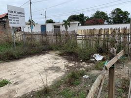  Land for sale in Pedernales, Manabi, Pedernales, Pedernales