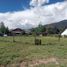  Land for sale in Rio Negro, Bariloche, Rio Negro