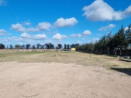 Terrain à vendre à Lomas De Zamora, Buenos Aires, Lomas De Zamora