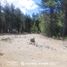  Land for sale in Rio Negro, Bariloche, Rio Negro