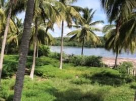  Terrain for sale in San Blas, Nayarit, San Blas