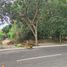  Land for sale in Compostela, Nayarit, Compostela