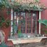 5 chambre Maison for sale in Yucatan, Merida, Yucatan