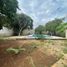  Terreno (Parcela) en venta en Yucatán, Merida, Yucatán
