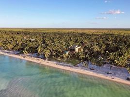  Terreno (Parcela) en venta en Yucatán, Telchac Puerto, Yucatán