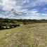  Land for sale in Marinilla, Antioquia, Marinilla