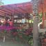 2 Schlafzimmer Wohnung zu verkaufen in La Paz, Baja California Sur, La Paz
