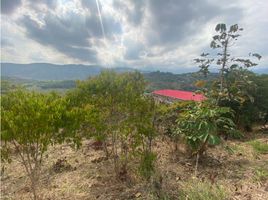  Terreno (Parcela) en venta en Jamundi, Valle Del Cauca, Jamundi