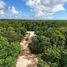  Grundstück zu verkaufen in Cozumel, Quintana Roo, Cozumel