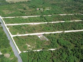  Terreno (Parcela) en venta en Motul, Yucatán, Motul