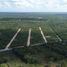 Terreno (Parcela) en venta en Motul, Yucatán, Motul