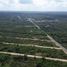  Terreno (Parcela) en venta en Motul, Yucatán, Motul