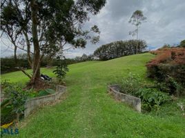  Terreno (Parcela) en venta en La Ceja, Antioquia, La Ceja