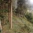 Terrain à vendre à Medellin, Antioquia, Medellin