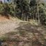 Terrain à vendre à Medellin, Antioquia, Medellin