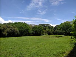  Terrain for sale in Puente Colgante De Occidente, Olaya, Santa Fe De Antioquia