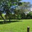  Terrain for sale in Puente Colgante De Occidente, Olaya, Santa Fe De Antioquia