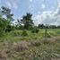  Land for sale in Cordoba, Monteria, Cordoba