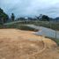  Grundstück zu verkaufen in Guarne, Antioquia, Guarne, Antioquia, Kolumbien