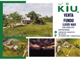 Estudio Villa en venta en Pasco, Pozuzo, Oxapampa, Pasco