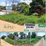  Land for sale in Callaria, Ucayali, Callaria, Coronel Portillo