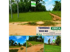  Terreno (Parcela) en venta en Ucayali, Nueva Requena, Coronel Portillo, Ucayali