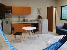 1 Habitación Apartamento en alquiler en Merida, Yucatán, Merida, Yucatán, México