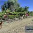  Land for sale in Celaya, Guanajuato, Celaya