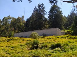  Terreno (Parcela) en venta en México, Toluca, México