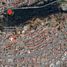  Terreno (Parcela) en venta en México, Toluca, México
