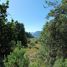  Land for sale in Neuquen, Lacar, Neuquen