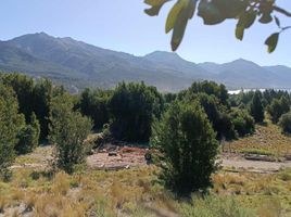  Land for sale in Neuquen, Lacar, Neuquen