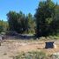  Land for sale in Neuquen, Lacar, Neuquen