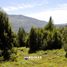  Land for sale in Neuquen, Lacar, Neuquen