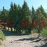  Land for sale in Neuquen, Lacar, Neuquen