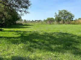  Land for sale in Garay, Santa Fe, Garay