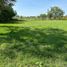  Land for sale in Garay, Santa Fe, Garay