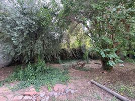  Terreno (Parcela) en venta en Lujan De Cuyo, Mendoza, Lujan De Cuyo