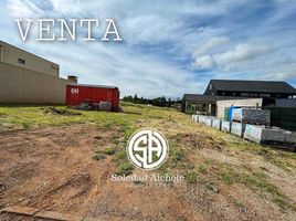  Land for sale in Chile, Nueva Imperial, Cautin, Araucania, Chile