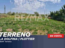  Land for sale in Confluencia, Neuquen, Confluencia