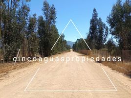  Terreno (Parcela) en venta en Valparaíso, Nogales, Quillota, Valparaíso