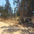  Terreno (Parcela) en venta en Valparaíso, Nogales, Quillota, Valparaíso