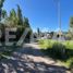  Land for sale in Neuquen, Confluencia, Neuquen