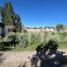  Land for sale in Neuquen, Confluencia, Neuquen