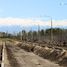  Land for sale in Tupungato, Mendoza, Tupungato