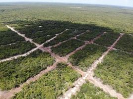  Terrain for sale in Ixil, Yucatan, Ixil