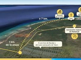  Grundstück zu verkaufen in Othon P Blanco, Quintana Roo, Othon P Blanco