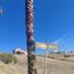  Land for sale in Tijuana, Baja California, Tijuana