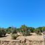  Land for sale in Chile, Quilpue, Valparaiso, Valparaiso, Chile