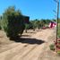  Land for sale in Chile, Quilpue, Valparaiso, Valparaiso, Chile